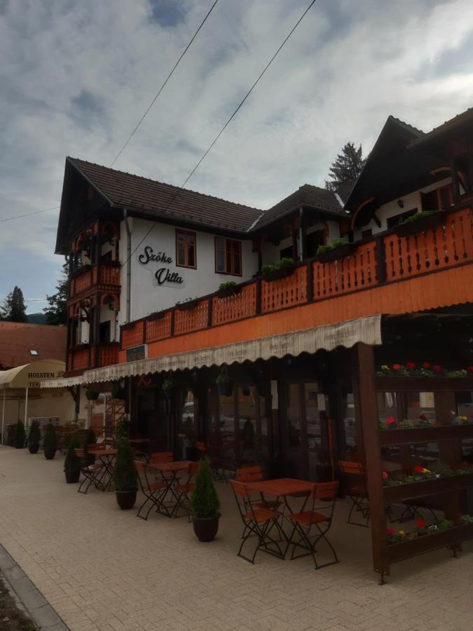 Vila Szoke Sovata Dış mekan fotoğraf