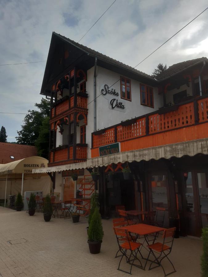 Vila Szoke Sovata Dış mekan fotoğraf